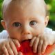 Are Humans Frugivores : Is the Fruitarian Diet Best for Us?