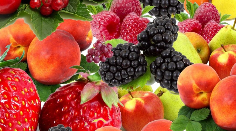 what is a fruitarian diet