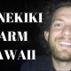 Kanekiki Farm in Hawaii Experiences- Review of my Time at a Raw Vegan Community (Fruit Diet Week 14)