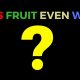 Fruitarian Diet is a LIE!? – Does Fruit Even Work!? (Fruit Diet Day 42)