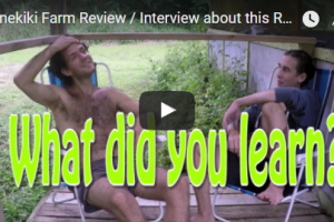 kanekiki farm interview