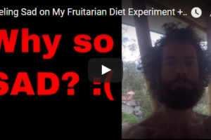 Feeling Sad on My Fruitarian Diet Experiment + Writing My Fruitarian Book