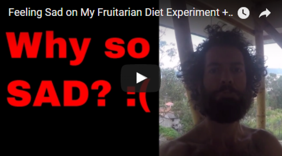 Feeling Sad on My Fruitarian Diet Experiment + Writing My Fruitarian Book