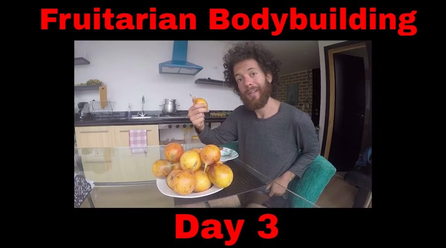 Fruitarian Bodybuilding Challenge, Day 3 - Working on my Fruitarian Diet and Muscle Building