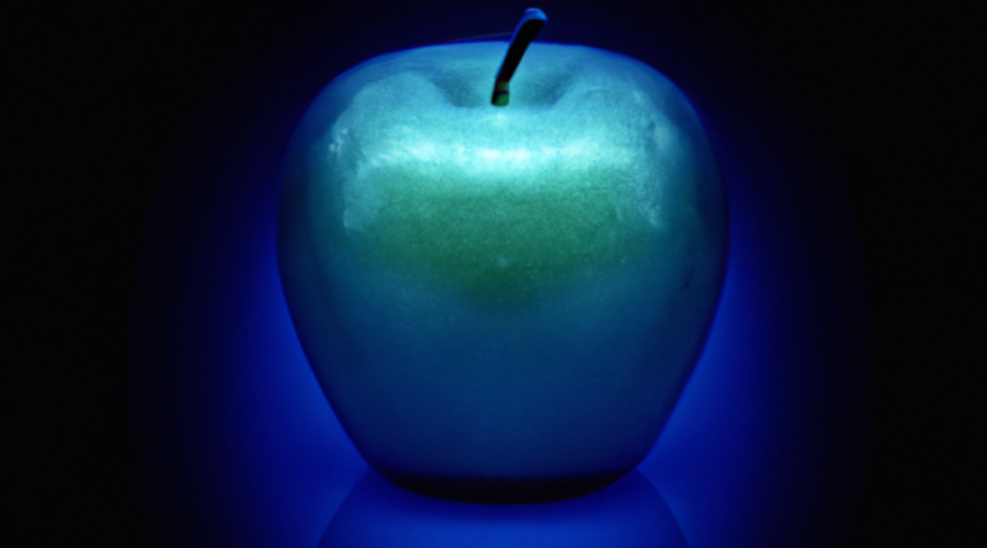 Did the Fruitarian Diet Prolong Steve Jobs' Life?